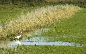 Bilder Datiert 17. September 2005: Praamweg