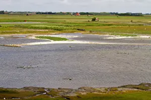Texel Landscape Drucke: De Putten, De Putten