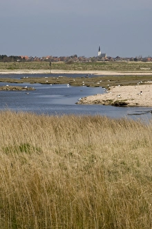 Gerahmter Druck : De Putten, Texel Gerahmter Druck : De Putten, Texel