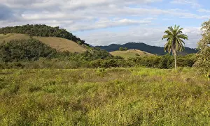 South America Photography Drucke: Regua