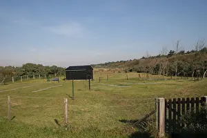 September Drucke: Ringstation, Ringingstation