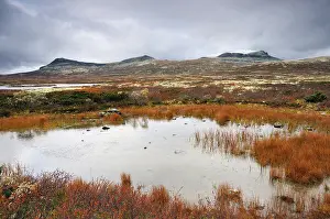 Rondane National Park Drucke: Rondane