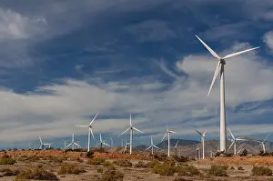 California Scenic Views Drucke: Rows of windmills on a wind farm