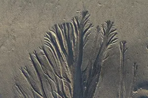 Bilder Datiert 27. September 2014: Sandhintergrundtextur