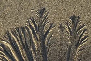 Bilder Datiert 27. September 2014: Sand-Hintergrund-Textur
