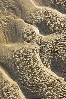 Wadden Sea Nature Reserve Drucke: Sand pattern