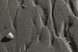Texel Island Nature Reserve Drucke: Sand pattern