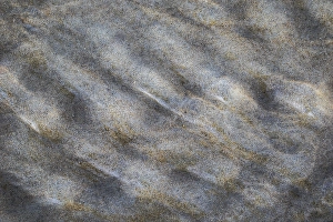 North Sea Sandy Shores Drucke: Sand pattern