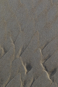Bilder vom 9. Dezember 2018: Sandmuster