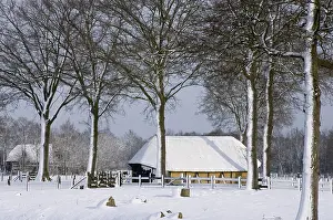 Dutch Countryside Landscapes Drucke: Schaapskooi, Sheep barn