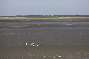 Wadden Sea Landscape Photo Drucke: Schiermonnikoog