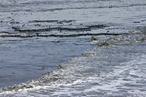 Wadden Sea Landscape Photography Drucke: Schiermonnikoog