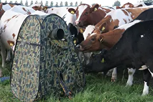 Schuiltent, Versteck