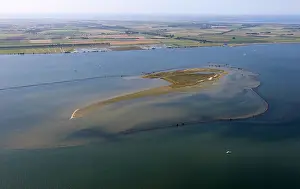 Slijkplaat