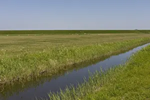 Netherlands Countryside Drucke: Sloot, Ditch