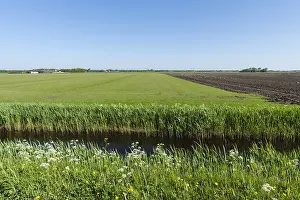 Netherlands Rural Scenery Drucke: Sloot, Ditch