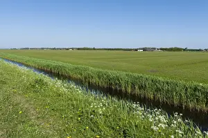 Netherlands Rural Scenery Drucke: Sloot, Ditch