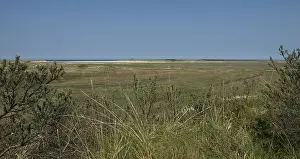 Gerahmter Druck : Slufter. Die Slufter auf Texel; Die Slufter auf Texel Gerahmter Druck : Slufter. Die Slufter auf Texel; Die Slufter auf Texel