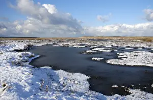 Februar Drucke: Slufter