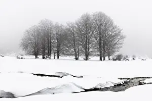Italian Winter Landscapes Drucke: Snowy Landscape