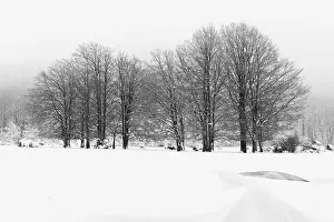 Italian Winter Landscapes Drucke: Snowy Landscape