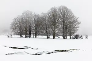 Italian Winter Landscapes Drucke: Snowy Landscape