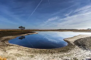 Wetland Landscape Germany Drucke: Solitaire tree at the field