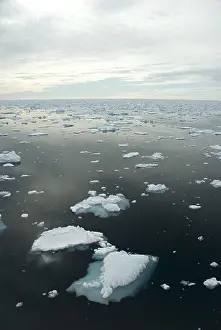 Spitsbergen