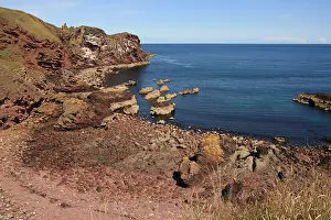 Scottish Coast Scenery Drucke: St Abbs Head