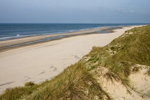 Dutch North Sea Coast Drucke: Strand, Beach