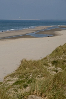 Dutch Coastline Scenery Drucke: Strand, Beach