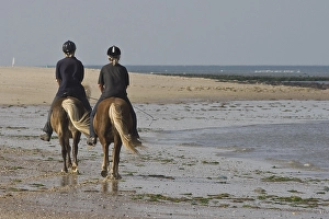 Bilder Datiert 22. September 2006: Küste, Strand