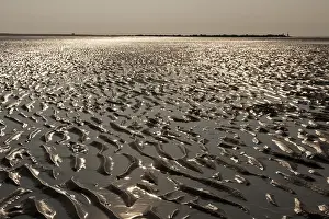 Bilder Datiert 20. September 2008: Strand, Strand