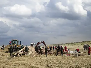 Bilder vom 21. August 2014: Strandender Wal bei Scheveningen