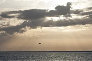 Sonnenuntergang auf Texel