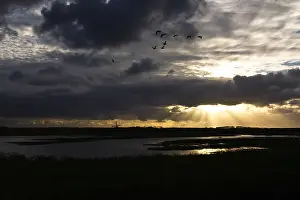 Texel, Texel