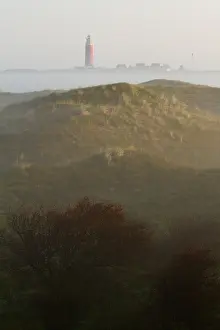 Texel Landscape Drucke: Texel, Texel