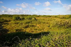 Texel Landscape Drucke: Texel, Texel