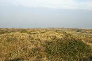 Gerahmter Druck : Texel, Texel Gerahmter Druck : Texel, Texel