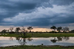 African Nature Reserve Photography Drucke: A thunderstorm approaching the Okavango delta