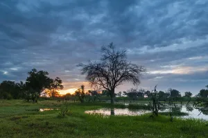 African Landscape Photography Tips Drucke: A thunderstorm approaching the Okavango delta at sunset