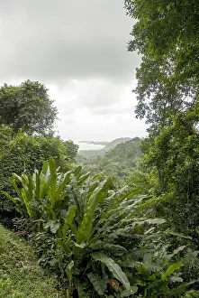 Bilder Datiert 21. Dezember 2007: Tobago