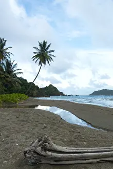 Bilder vom 6. Dezember 2007: Tobago
