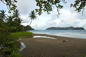 Bilder vom 6. Dezember 2007: Tobago
