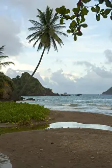 Bilder vom 6. Dezember 2007: Tobago