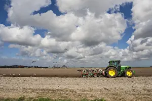 Holland Landscape Drucke: Tractor at Texel