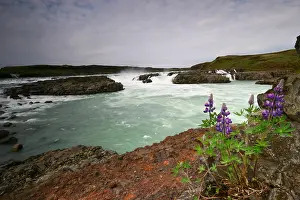Europe Landscapes Drucke: Urridafoss