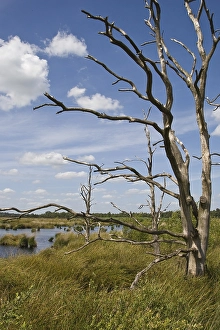 Von, Bog