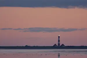 German Coastal Scenery Drucke: View to Westerhever, Germany