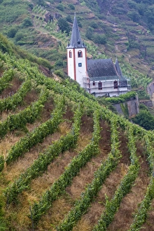 European Viticulture Landscape Drucke: Viticulture landscape